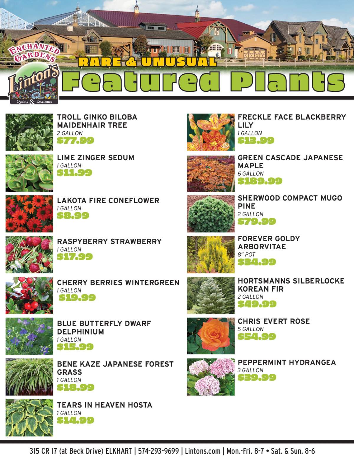 Featured Plants 0806