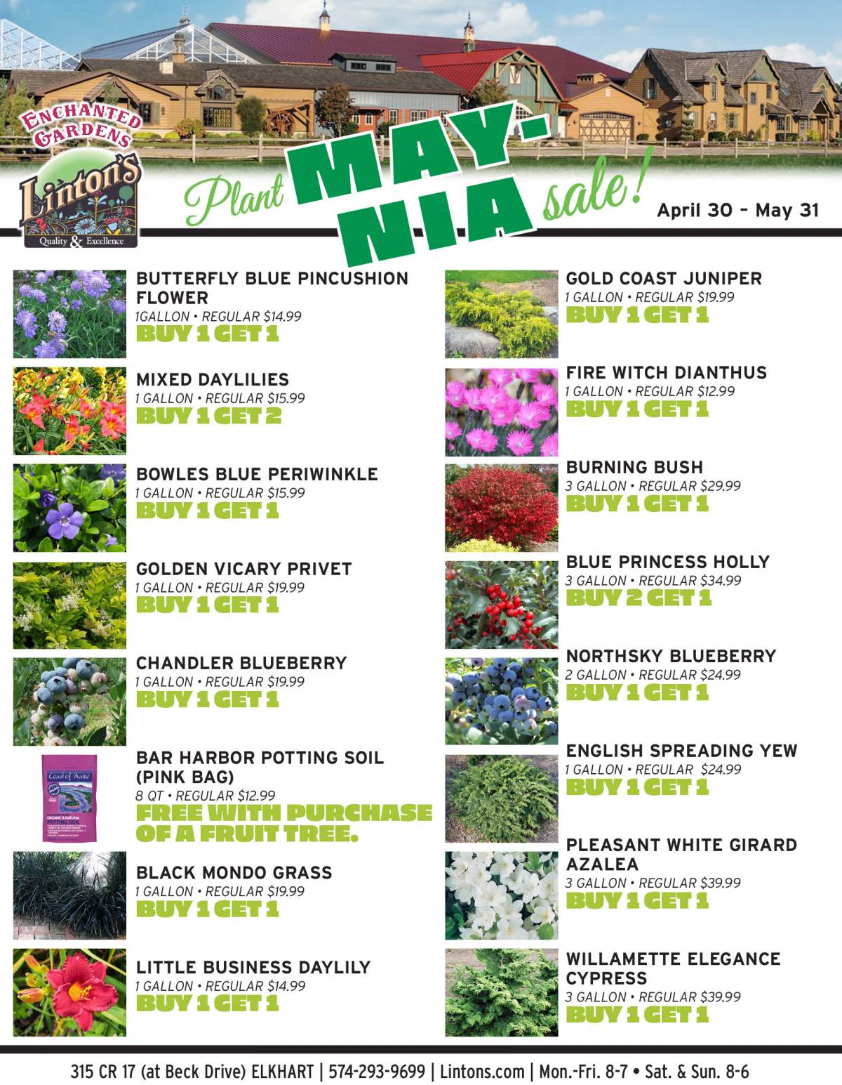 Plant Maynia Plant Flyer