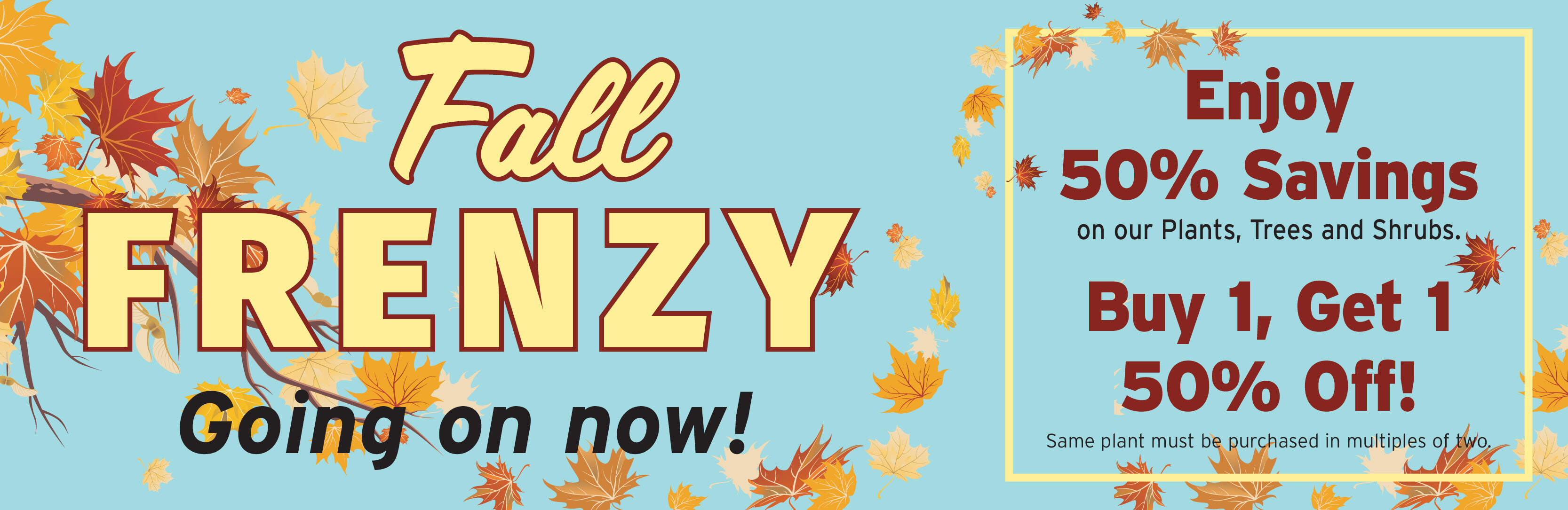 Fall Frenzy