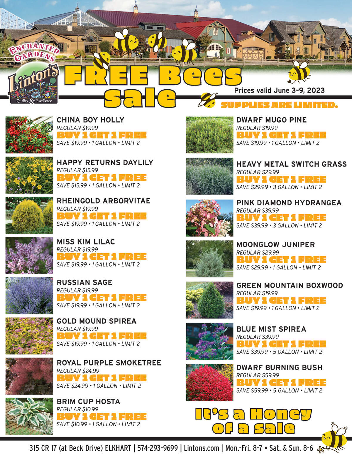 FreeBees-4_2