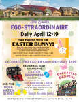 Easter Egg-Straordinaire