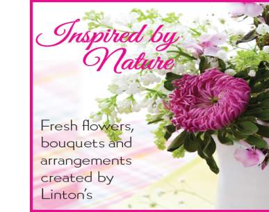 Linton's Enchanted Gardens : 213986