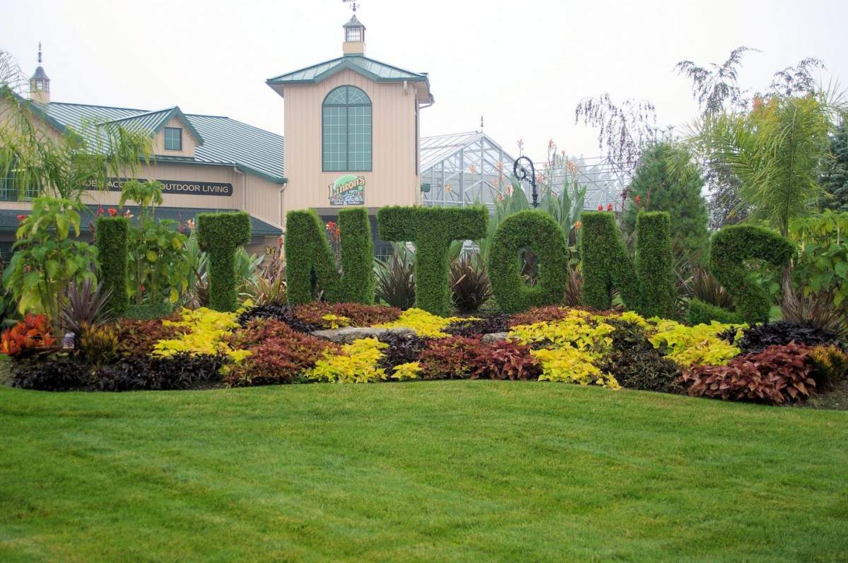 Linton's Enchanted Gardens : 134582 387930864609869 997371718 O 134582_387930864609869_997371718_o