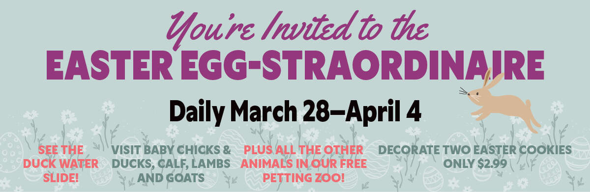 Easter Egg-Straordinaire Easter Egg-Straordinaire