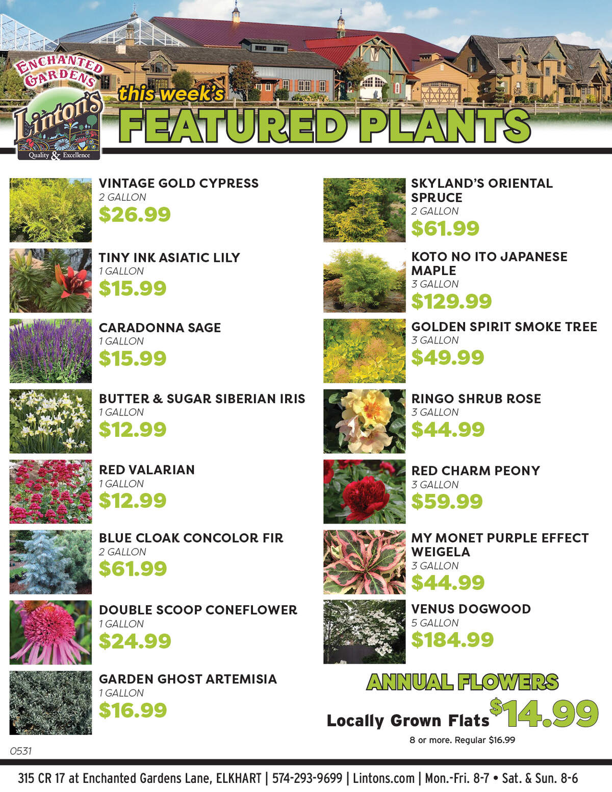 Featured Plants-0607