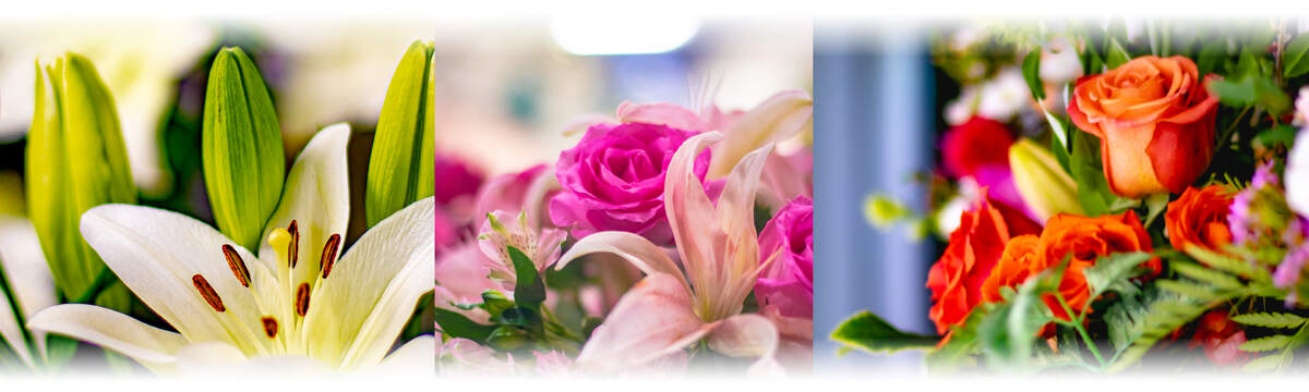 Linton's Enchanted Gardens : Floral%20lintons%20elkhart 03