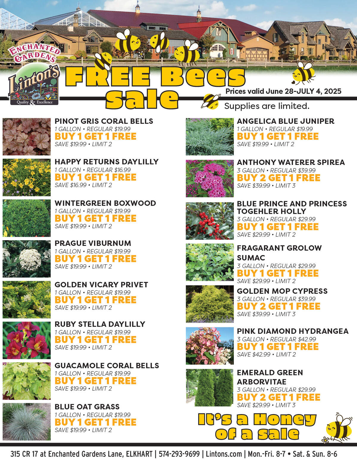 FreeBees-0628