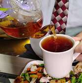 Hot Tea Forté