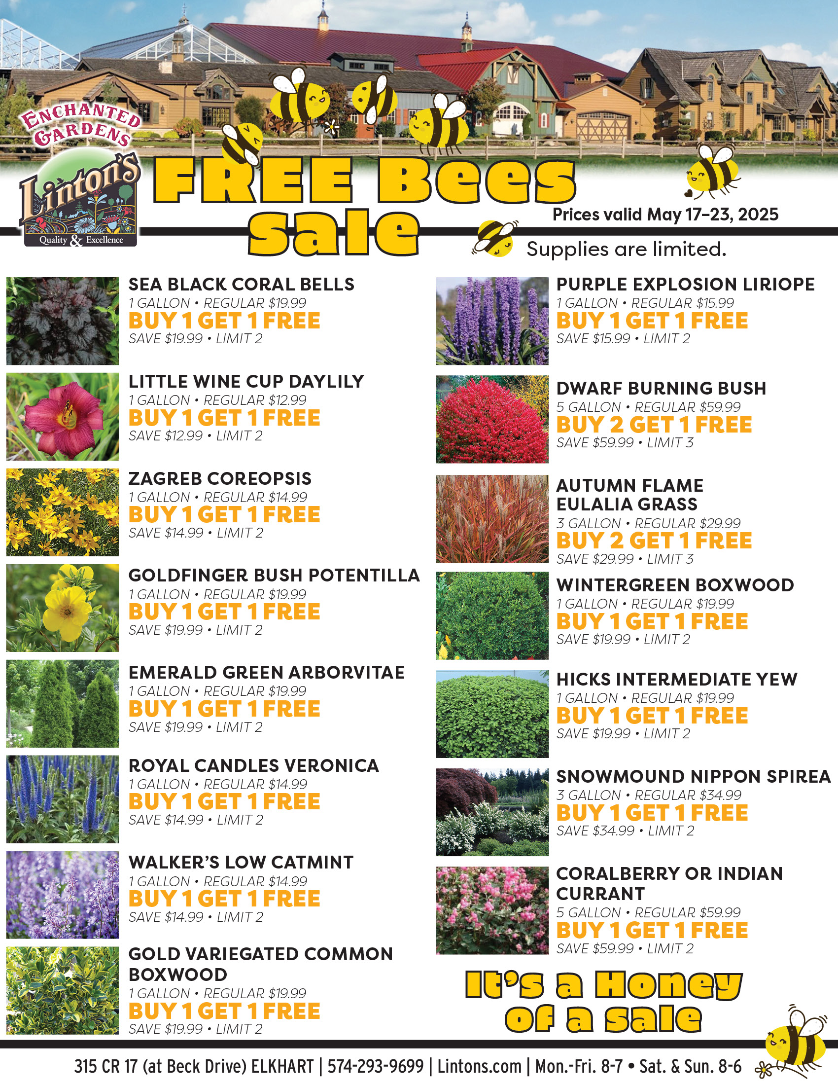 FreeBees-0517(6)
