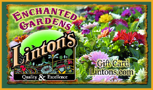 Linton's Gift Card