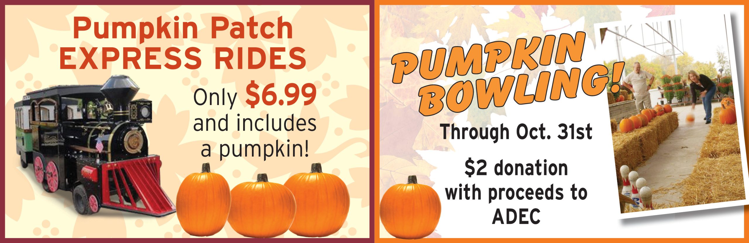 Pumpkin Attract HP Slider