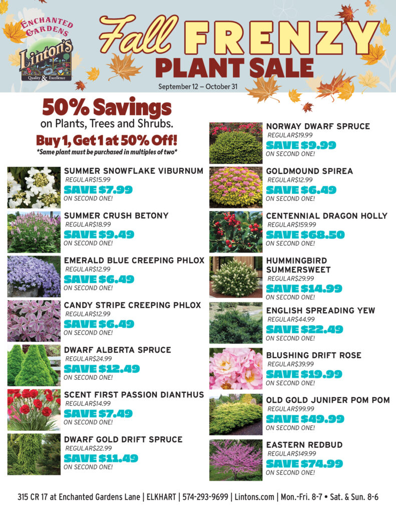 Buy 1, get the 2nd 50% off
